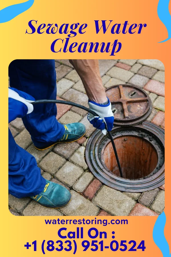 Sewage Water Cleanup in Waldron, AR