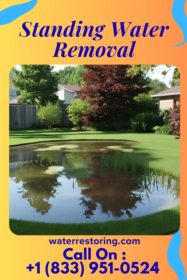 Standing Water Removal in Waldron, AR